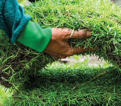 How to make a garden from scratch - ABC Gardening Australia magazine