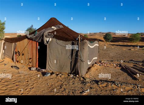 The Bedouins Tent In The Sahara Morocco Stock Photo Alamy