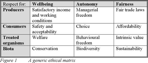 PDF Ethical Matrix Manual Semantic Scholar