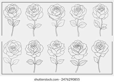 Rose Outline Set Flower Vector Illustration Stock Vector (Royalty Free) 2476290855 | Shutterstock