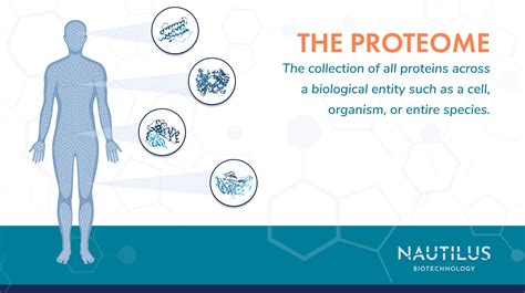 What Is The Proteome Nautilus Biotechnology