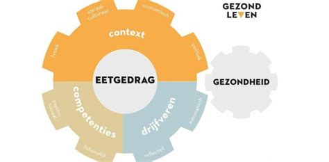 Wat Bepaalt Ons Eetgedrag Volgens Het Gedragswiel Gezond Leven