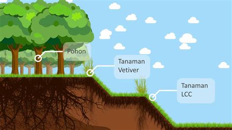 Mencegah Erosi Pada Lereng Dengan Menggunakan Metode Antares Erosion