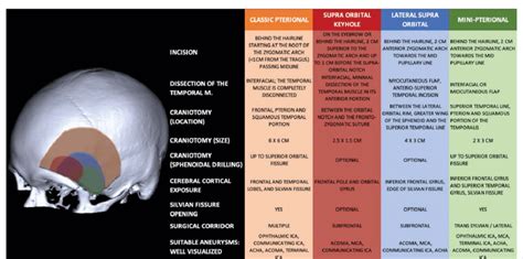 Comparison Between Pterional Craniotomy And Minimally Invasive Derived