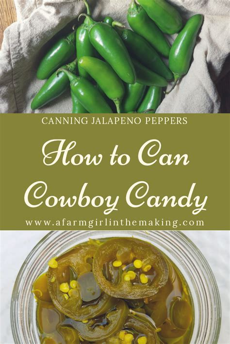 Candied Jalapenos Easy Homemade Version The Chunky Chef Artofit