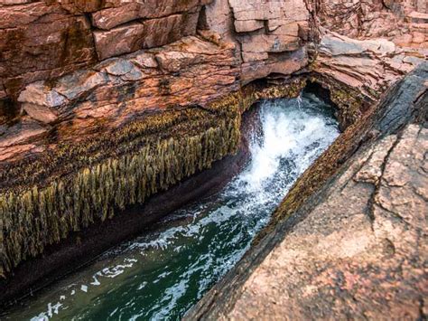 Thunder Hole in Acadia National Park | TM2 Maine