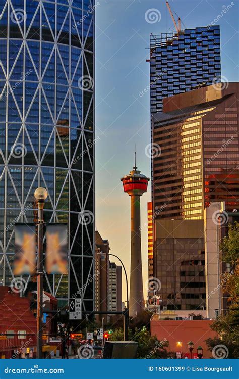 Calgary Tower Standing Tall Editorial Stock Image Image Of Dawn