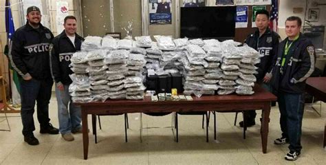 Cops seize nearly $500,000 in marijuana during a major Flushing drug ...