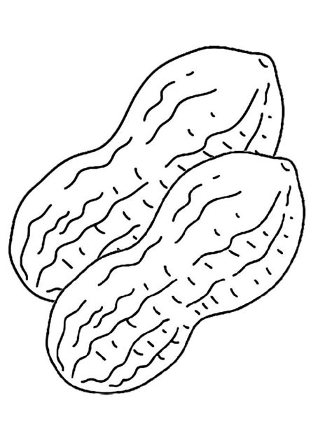 Peanut Coloring Pages Coloring Pages Color Peanut