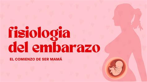 Fisiología del embarazo Leimy Espejo uDocz