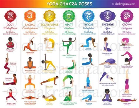 YOGA CHAKRA POSES จกระ สขภาพกาย การศกษา