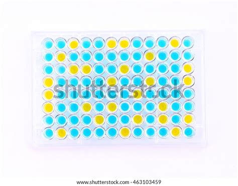 Enzymelinked Immunosorbent Assay Elisa Plate Immunology Stock Photo