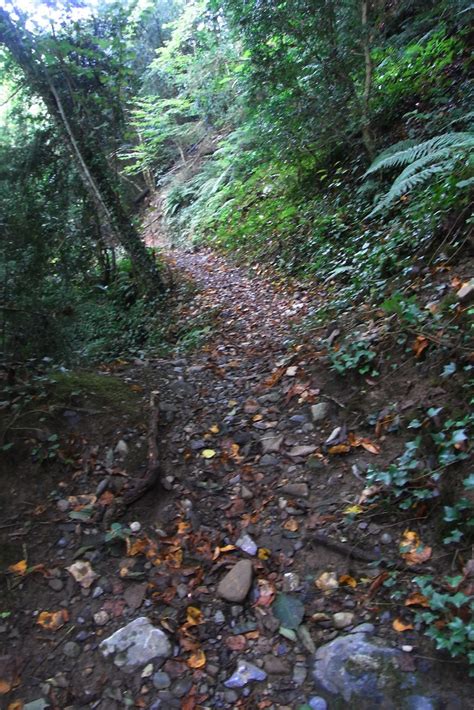 20120926 28 155 Jakobus Wald Weg Steil Exif JPEG PICTURE Bernd