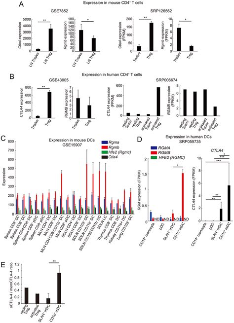 Expression Profiles Of Rgmb And Ctla In Cd T And Dendritic Cell