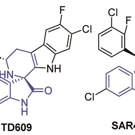 Representative Biologically Active Compounds Containing The