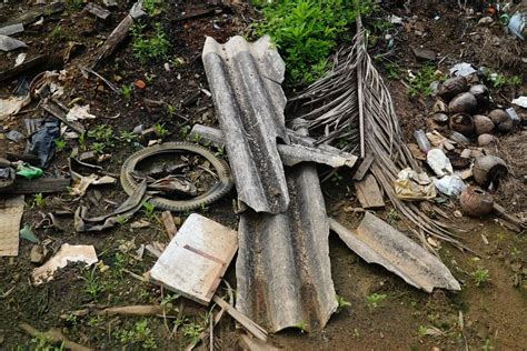 Los Peligros Del Amianto En Bosques Y C Mo Evitarlo