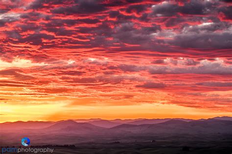 Photographing the Palouse from Steptoe Butte – pamphotography