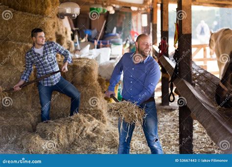 Two Farm Workers Feeding Horses Stock Image Image Of Pitchfork