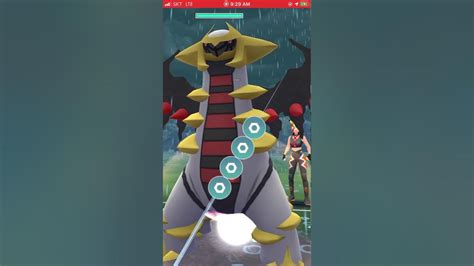 [ultra] Registeel Giratina A Venusaur Vs Registeel Togekiss