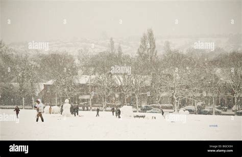 2 February 2009 Snow Falling In Hilly Fields Park Brockley London