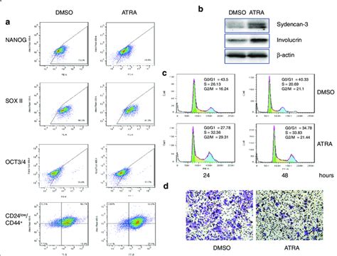 ATRA Induces Differentiation Of MCF7 C6 Cells A Flow Cytometric