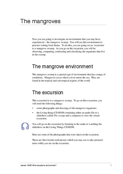 The Mangroves Activity for 6th - 8th Grade | Lesson Planet