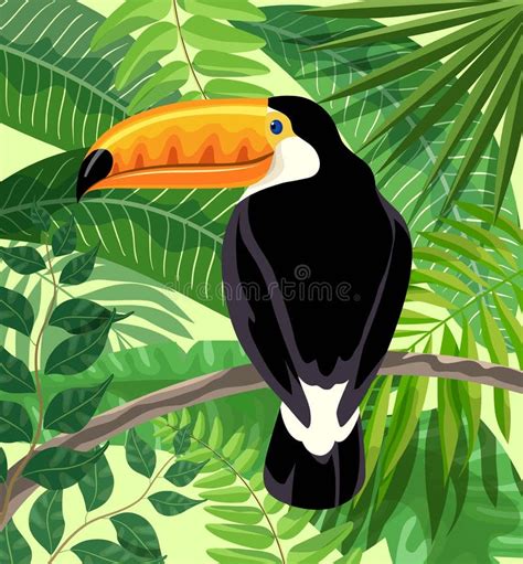 Oiseau Toucan Dans La Forêt Tropicale Illustration De Couleur