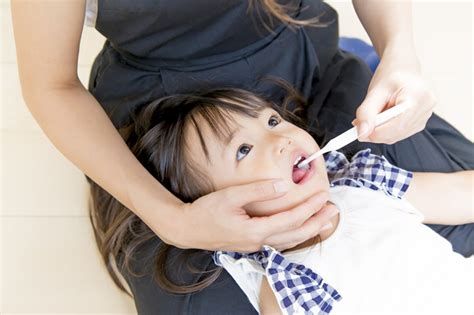 幼児の歯磨きは何歳から？1日の回数や歯磨き粉の必要性は？ Nukumoly