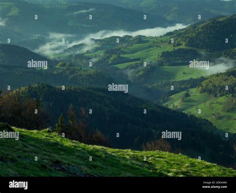 Morning Mood At The Belchen Hi Res Stock Photography And Images Alamy