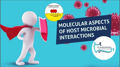 Molecular Aspects Of Host Microbial Interactionpart 1mampspampsprrs