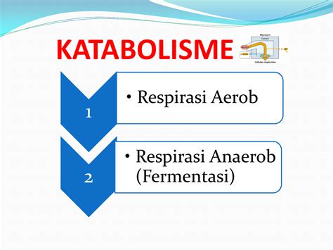 Gambar Skema Reaksi Fermentasi Alkohol Terupdate And Terkini Skema Wiring