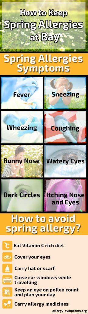 6 Ways to Avoid Spring Allergies at Home (No.#5 is the Best) - Allergy ...