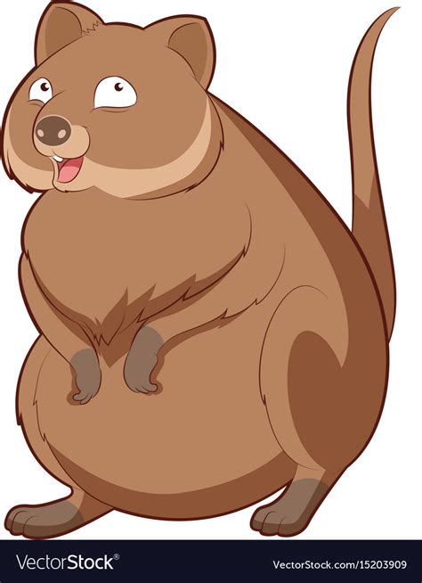 Cartoon happy quokka Royalty Free Vector Image