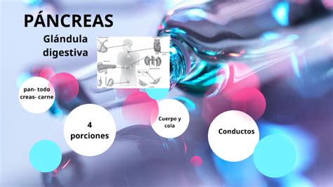 Páncreas by Alondra Franco on Prezi