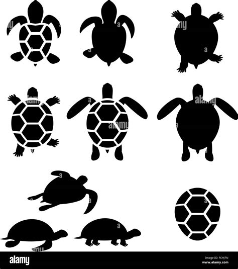 Set Of Turtle And Tortoise Silhouette Vector Stock Vector Image And Art