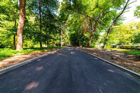 Asphalt Path In The Park Stock Photo Image Of Walking 5698340