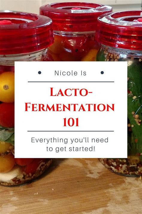 Fermentation 101 Everything You Need To Ferment At Home Artofit