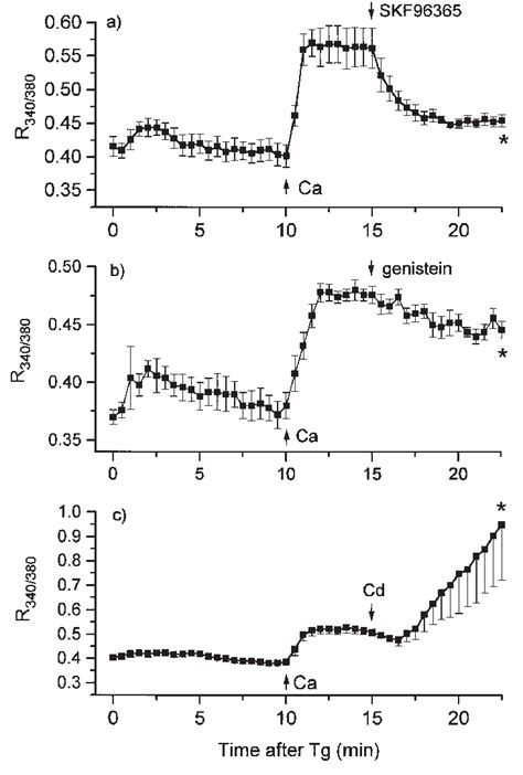 A C Time Course Of Changes In Fura Fluorescence Ratio R In