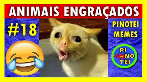 Tente N O Rir Memes De Animais Engra Ados Ep V Deos De