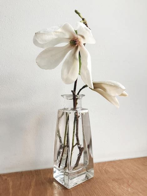 Premium Photo Beautiful Magnolia Flower In Vase On Rustic Windowsill