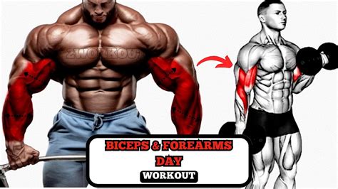 Week Day Ultimate Arm Day Biceps And Forearms Workout Workout