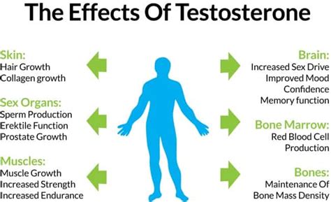 Can Red Light Therapy Help Increase Testosterone Condom Usa