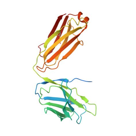 Rcsb Pdb 5cws Crystal Structure Of The Intact Chaetomium