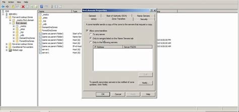 How To Enable Zone Transfers In The Name Server Tab In The Windows