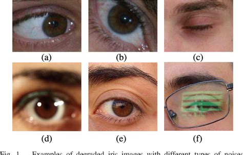 Figure 1 From Towards Complete And Accurate Iris Segmentation Using