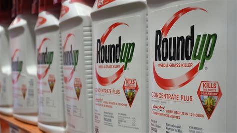 Glyphosate European Commission To Allow Use Of Controversial Herbicide