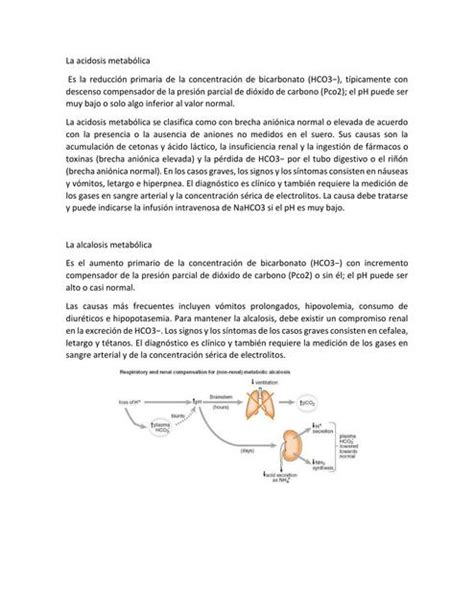 La Acidosis Metab Lica Andrea P Cabr Udocz