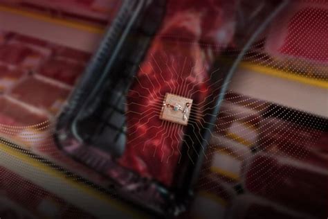 Goodbye Food Waste: A Smartphone-Enabled Sensor That Can Detect Food