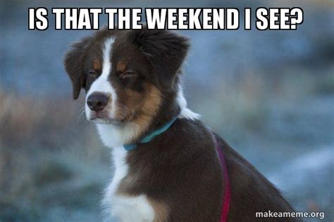 Weekend Dog Meme