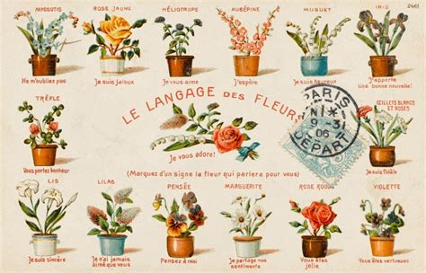 Flower Meanings Symbolism Of Flowers Herbs And More Plants The Old